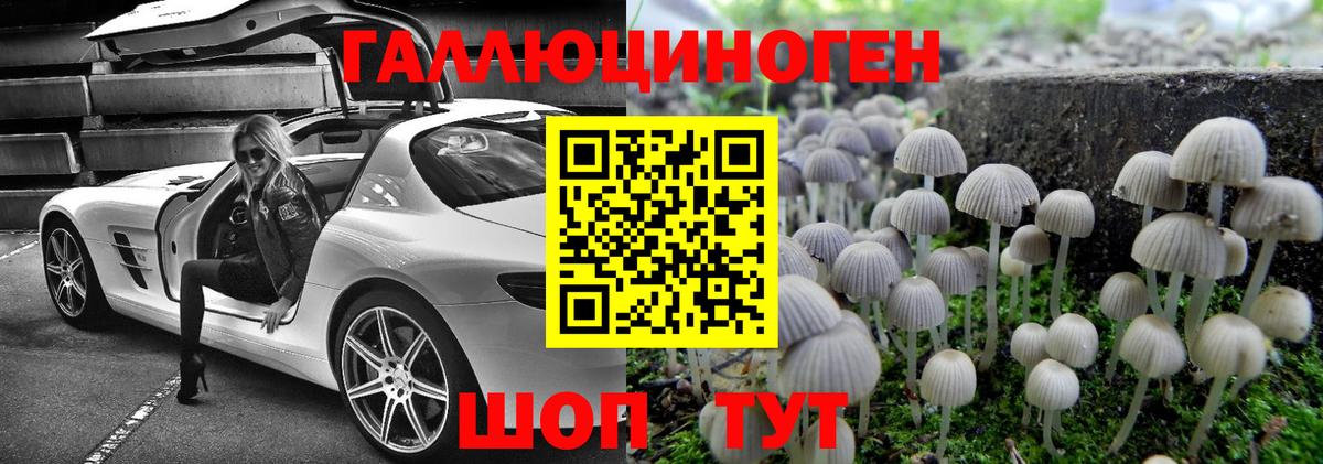 Нововоронеж  Галлюциногенные грибы мицелий  Галлюциногенные грибы ЛСД  Вход с VPN 